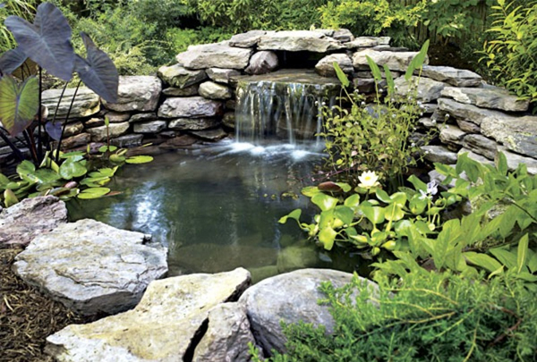 fishpond design ideas, The fish in your backyard fish pond will be semi-dormant for the continuance of the winter, that is to say that they will almost hibernate, but not quite. You will see your fish fabrication on the bottom of your pond scarcely moving a muscle. They will be living off stores of fat that they have reinforced up throughout the summer, but they may choose to eat every now and again, so you have to keep giving food, but in very reduced quantities.  There ar a few things that you ought to do to ready your backyard fish pond for the winter, because this will help them survive the winter. The first thing to do is tidy up your pond and the immediate area. Any dead foliage that finds its way into your pond will have months to rot down and ruin the quality of your pond water, just when your fish are at their most susceptible. Dredge your pond, trying to take out astatine least half of the slush at the bottom, but try to leave any grubs, larvae and insects behind, because they ar a good supply of protein for your fish. Scrape the sides of the pond of algae and net it out. You should also remove any plants that ar unlikely to make it through the winter. Fix a leaf net over the pond in order to prevent tree leaves from blowing into the pond astatine a later time when the weather gets rough. If you expect flooding or heavy rain, sandbag the edge of the pond to a height of two feet to stop fish being swept away. When the water temperature drops to 55-60F, reduce feeding to once per day and when it slips to 50F, stop eating completely. Even if the temperature goes up above 50F for a day or two, do not feed until winter is over. This is because the fish may eat intuitively, but at this temperature food can take four days to digest and could kill your fish. Clean your filtration system and remove your pumps and fountain from the water. Once you have retrieved your equipment you can clean and maintain it at your leisure. You do not want it to freeze solid during a